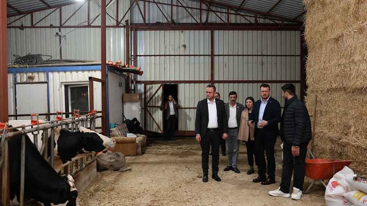 Başkan Dere, şap hastalığından mağdur olan aileleri yalnız bırakmadı