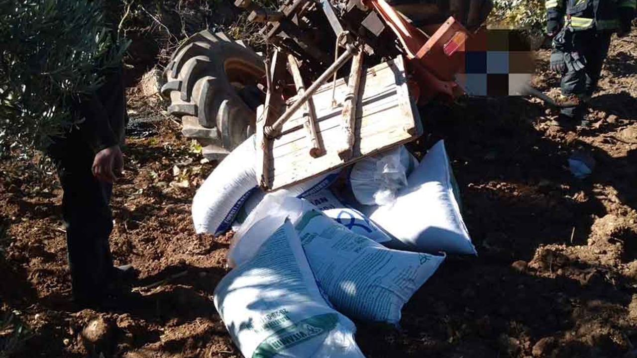 Gübre taşıyan traktör devrildi, sürücü altında kaldı