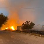 Çardak’ta Yerleşime Yakın Boş Arazide Çıkan Yangın Korkuya Neden Oldu
