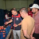Çivril'de Şeftalinin Üretimden Pazarlamaya Yolculuğu İncelendi