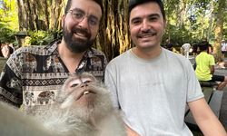 Denizlili yazılımcılar maymuna selfi çektirdi