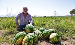 Karpuzcu başkan, karpuzcunun imdadına yetişti