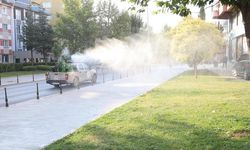 Pamukkale Belediyesi'nde ilaçlama ekipleri çalışıyor