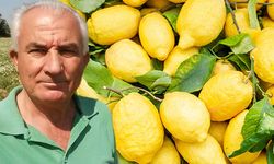 Limon üreticisi üretim alanlarını daralttı, fiyatları yükseldi