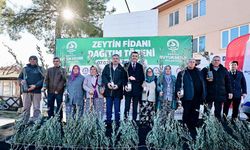 Zeytin Fidanları Toprakla Buluşuyor, Denizli Kazanıyor