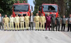 Orman ekipleri Denizli ve Uşak'ta 2024-25 döneminde 202 yangına müdahale etti