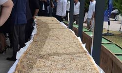 Denizli’de 12 metre 30 santimetreyle dünyanın en büyük ballı, cevizli tahinli pidesi yapıldı
