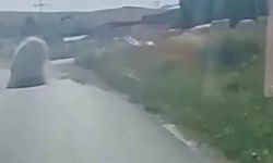 Tonlarca ağırlıktaki mermer bloğun altında ezilmekten saniyelerle kurtuldu