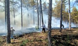 Erken Müdahale Denizli'nin Ciğerlerini Yanmaktan Kurtardı