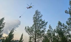 Denizli Acıpayam'da Çıkan Orman Yangını Kontrol Altına Alındı