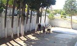 Denizli'de Belediye Başkanı Zabıtaları Sopayla Dövdü