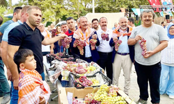 Avşar Üzüm Şenliği'nde 30 Farklı Üzüm Çeşidi Tanıtıldı