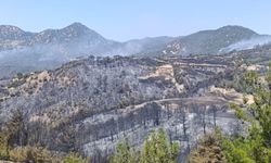 Denizli'de Yangına Sebep Oldukları İddia Edilen 3 Kişi Gözaltına Alındı