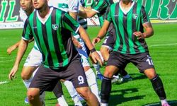 BAL’da Horoz ve Güvercin’in haftası