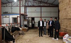 Başkan Dere, şap hastalığından mağdur olan aileleri yalnız bırakmadı