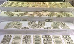 Denizli'de 35 bin 100 dolar değerinde sahte banknot ele geçirildi