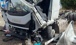Denizli'de Meyve yüklü tır devrildi