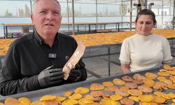 Honaz’ın meşhur cennet hurması bu kez cips olarak damakları şenlendirecek