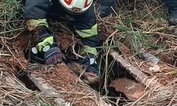 Fosseptik çukuruna düşen köpek kurtarıldı