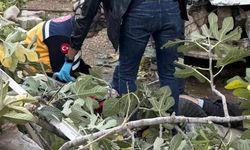 Denizli’de kamyonet evin bahçesine uçtu; 1 ölü 3 yaralı