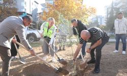 Başkan Doğan, "Yeşili korumaya devam edeceğiz"
