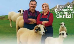 Denizli Büyükşehir’den koyun-koç desteği