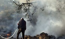 Ormanın yandığını gören sürücü, alevlere süt sıkarak yangının büyümesini önledi