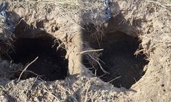 Tarlada oluşan obruk mahalleliyi korkuttu
