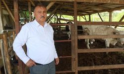 Üretimden kopamayan Başkan Pütün; "10 yıl sonra tarım üretimi yapacak kimse kalmayacak"