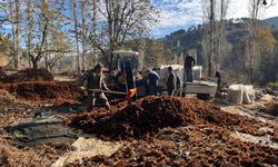 Dikenlerinden kurtulan kestanelerin sofralara yolculuğu başladı