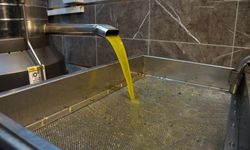 Zeytinyağı fiyatları belli oldu, fiyatlarda artış yaşandı