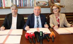 Denizli'de 3 belediye 2 bin sokak hayvanı için 30 bin dönümlük yuva kuruyor