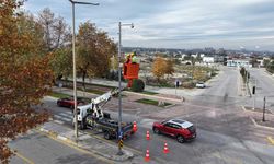 Denizli Büyükşehir iklim değişikliği ile mücadelesini sürdürüyor