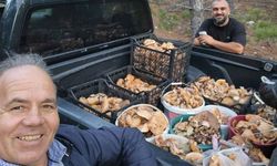 Denizli'nin Çameli ilçesi’nde cintar bereketi