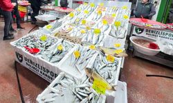 Geç gelen kış balığın tadını kaçırdı