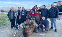 Şampiyon devenin havudu dualarla takıldı