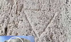 Tonyukuk tamgası ve Moğol ulzii işareti aynı yapıda ortaya çıktı