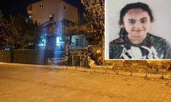 Tüfekle oynarken kız arkadaşını öldüren çocuk dağda yakalandı