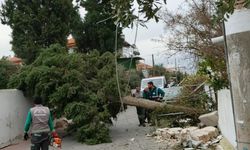 Pamukkale Belediyesi  Ekiplerinden Fırtına Ve  Sağanak Yağışa   Hızlı   Müdahale