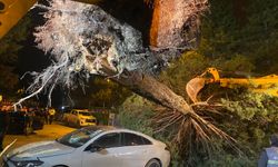 Pamukkale Belediyesi'nden  fırtına  nöbeti