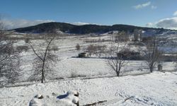 Buldan’da yılın ilk karı üreticileri sevindirdi