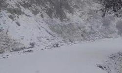 Yazın yanan orman sahası beyaza büründü