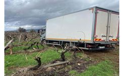 Sabıkalı yolda kamyon üzüm bağına girdi