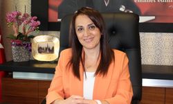 Denizli 'de Sağlık  Hizmet  Verileri