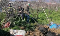 Denizli’de foseptik çukuruna düşen inek itfaiye ekiplerince kurtarıldı