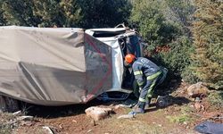 Tavas’ta Devrilen Kamyonette 2 Kişi ve 10 Küçükbaş Kurtarıldı