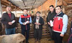 Tarım teşkilatı koyunu 9 doğuran besiciyi ziyaret etti