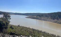 Derbent Barajı’nda su seviyesi zirvede