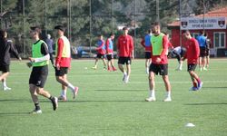 Denizli İdman Yurdu, düşme korkusu yaşayan Söke'yi misafir edecek