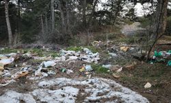 Doğanın kalbine çöp doldurdular